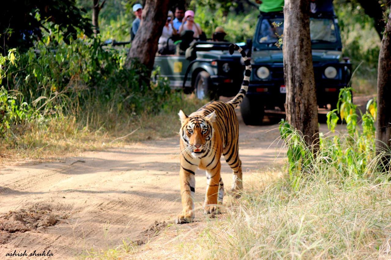 The Fern Ranthambore Forest Resort Rajasthan Sawai Madhopur Buitenkant foto