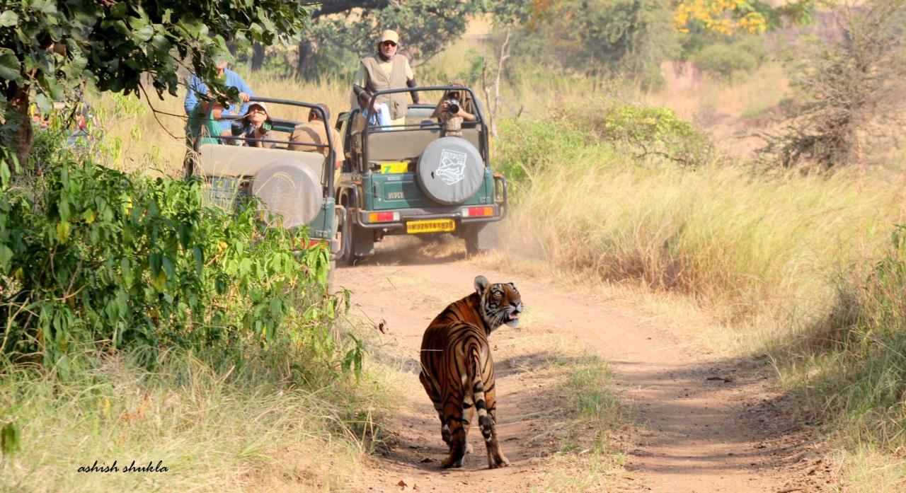 The Fern Ranthambore Forest Resort Rajasthan Sawai Madhopur Buitenkant foto